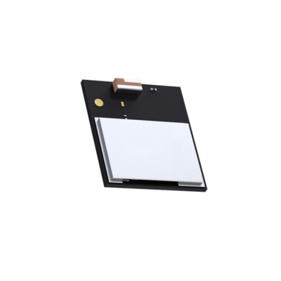 Module de communication sans fil MGM210PB22JIA2 10 dBm Module multi-protocole sans fil Gecko